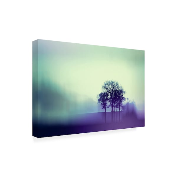 Gaby Grohovaz 'Silhouette Trees' Canvas Art,30x47